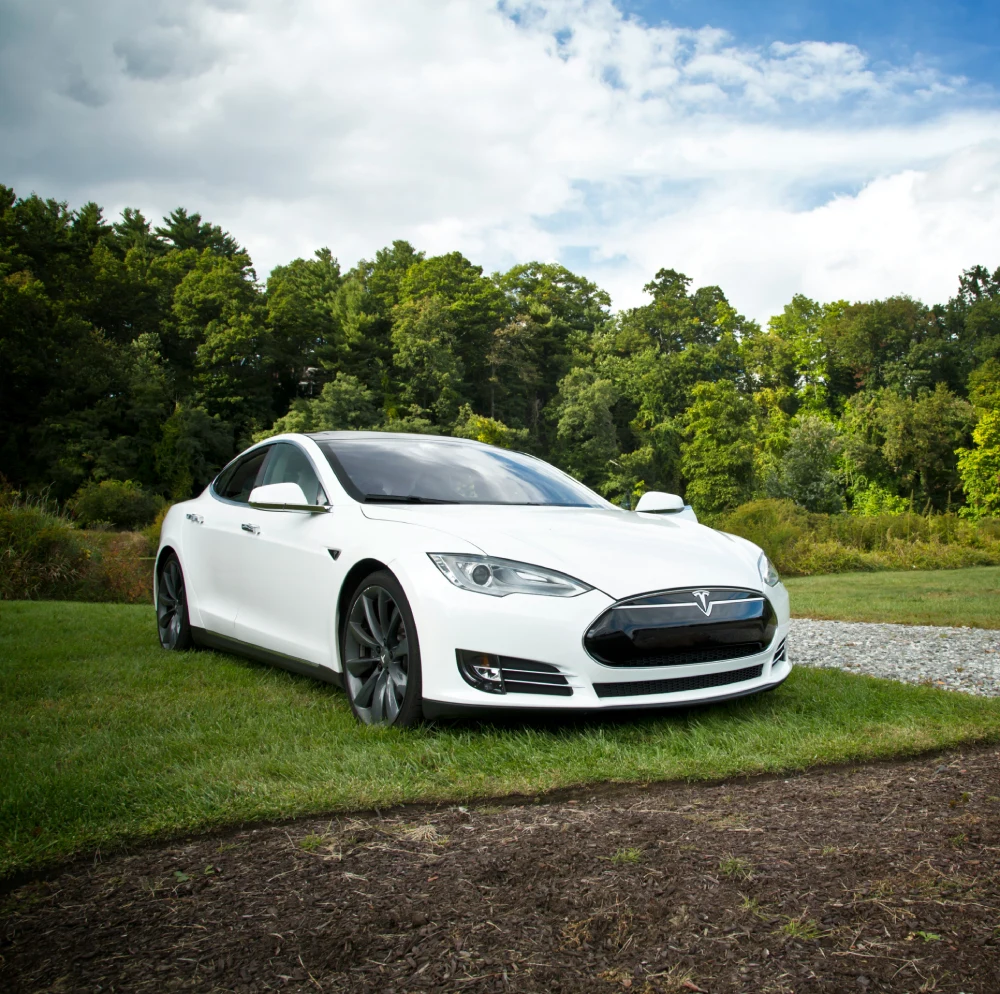 tesla in a green landscape